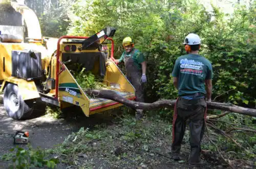 tree services Grant Park